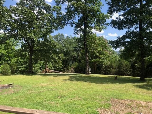 343 Lakewood Ln, Yellville, AR 72687 - photo 13