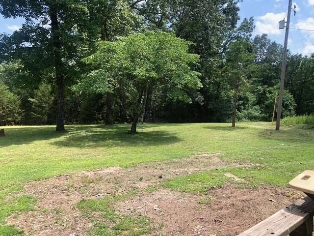 343 Lakewood Ln, Yellville, AR 72687 - photo 12