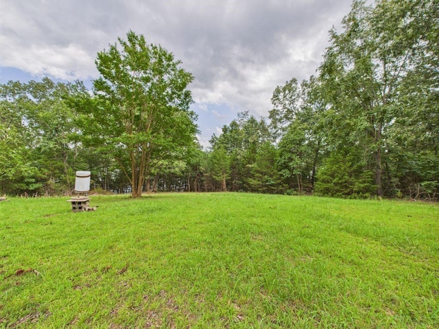 343 Lakewood Ln, Yellville, AR 72687 - photo 19