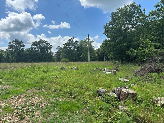 13888 Whiteoak Ln, Bentonville, AR 72712 - photo 7