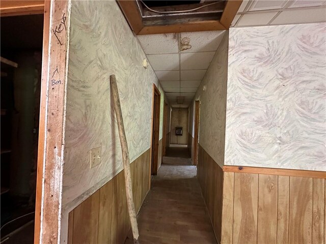 13888 White Oak Ln, Bentonville, AR 72712 - hall with a wainscoted wall, a paneled ceiling, wood finished floors, wooden walls, and wallpapered walls