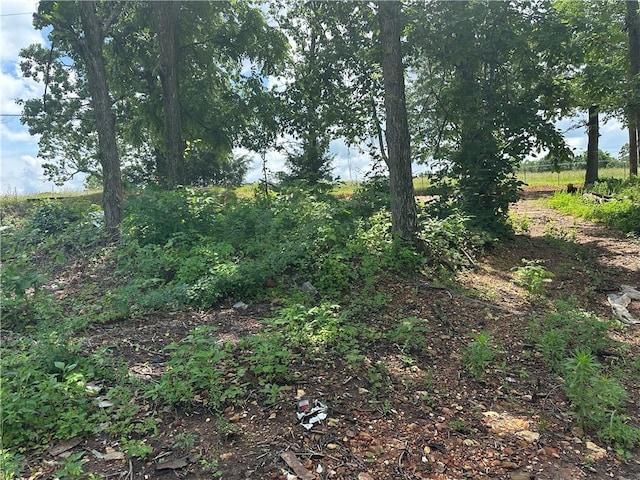 13888 White Oak Ln, Bentonville, AR 72712 - view of local wilderness
