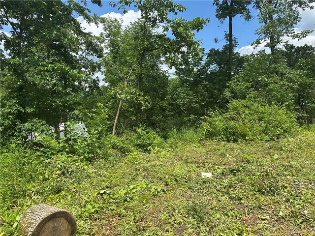 13888 White Oak Ln, Bentonville, AR 72712 - view of wooded area