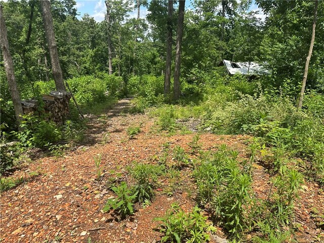 13888 White Oak Ln, Bentonville, AR 72712 - view of undeveloped land