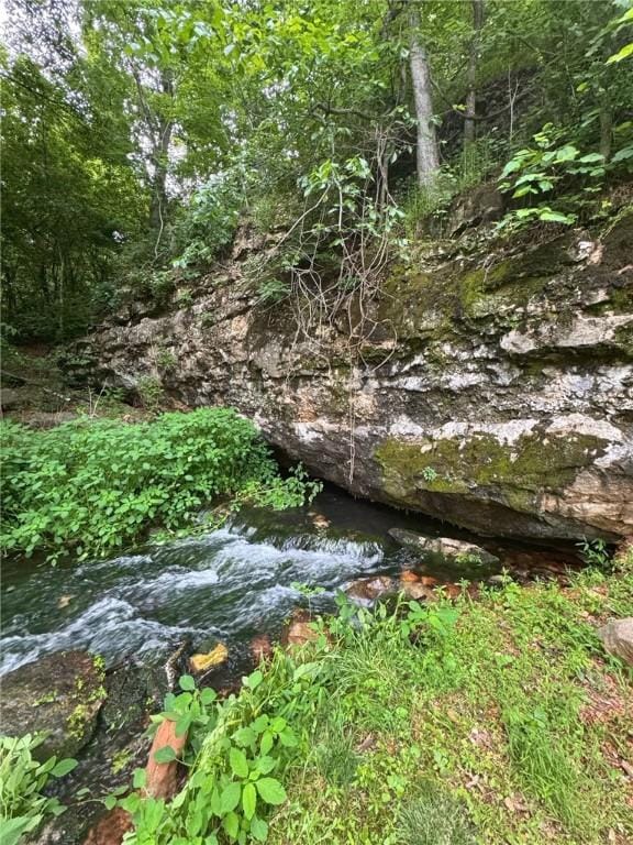 204 NE Healing Springs St, Bentonville, AR 72713 - view of nature