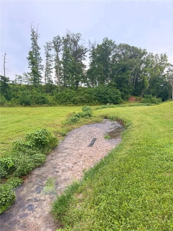 204 NE Healing Springs St, Bentonville, AR 72713 - view of green lawn