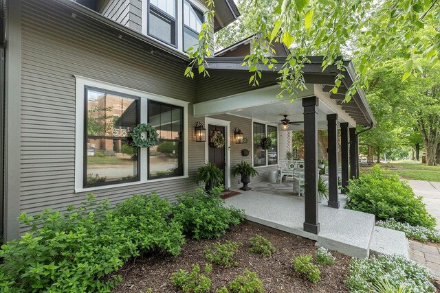 426 N Highland Ave, Fayetteville, AR 72701 - photo 3