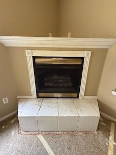 1210 Apache Dr, Bentonville, AR 72712 - detailed view of a fireplace and baseboards