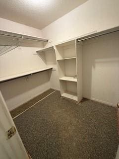 1210 Apache Dr, Bentonville, AR 72712 - view of walk in closet