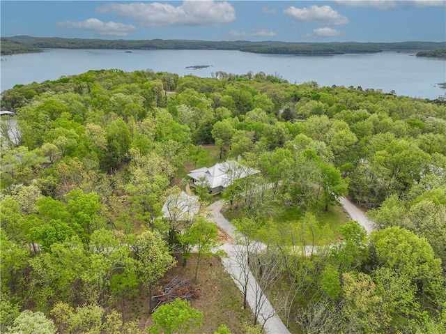 19643 Indigo Dr, Rogers, AR 72756 - aerial view of a nearby body of water and a forest