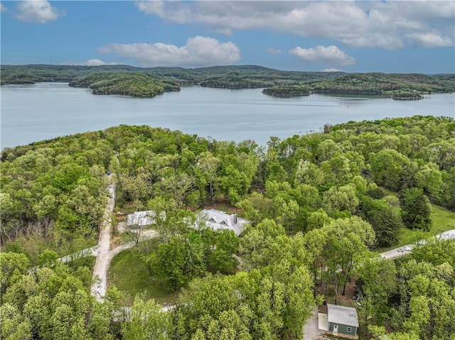 19643 Indigo Dr, Rogers, AR 72756 - aerial view of property's location featuring a heavily wooded area and a large body of water
