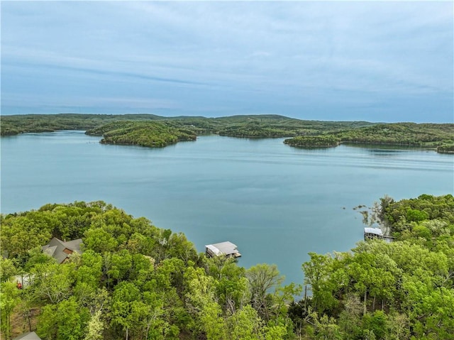 19643 Indigo Dr, Rogers, AR 72756 - water view with a forest