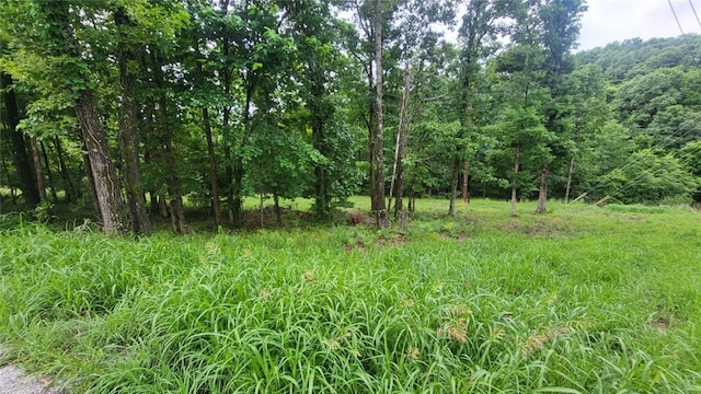 Haynes Rd, Rogers, AR 72756