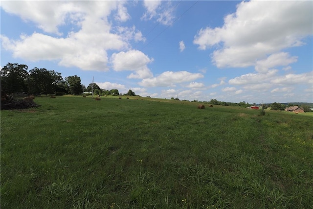 13228 Cincinnati Creek Rd, Summers, AR 72769 - photo 8