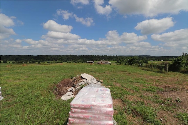 13228 Cincinnati Creek Rd, Summers, AR 72769 - photo 9