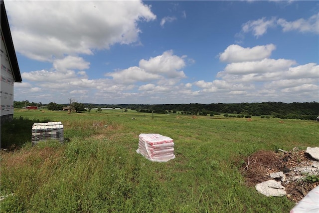 13228 Cincinnati Creek Rd, Summers, AR 72769 - photo 10