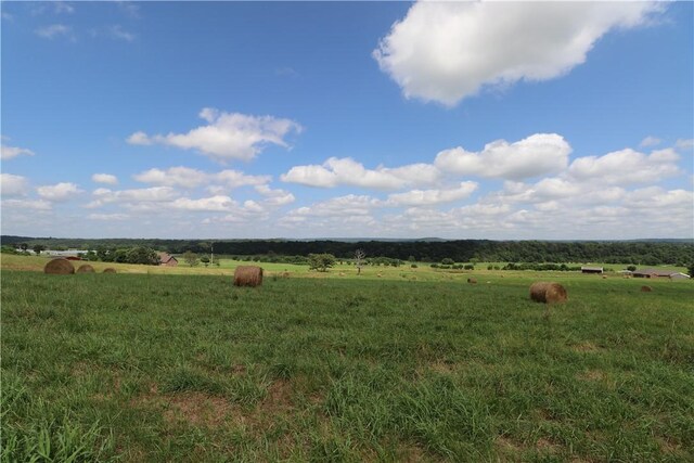 13228 Cincinnati Creek Rd, Summers, AR 72769 - photo 36
