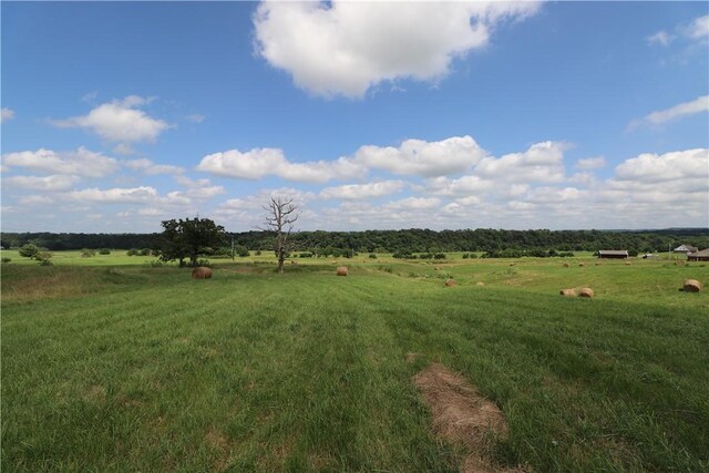 13228 Cincinnati Creek Rd, Summers, AR 72769 - photo 41