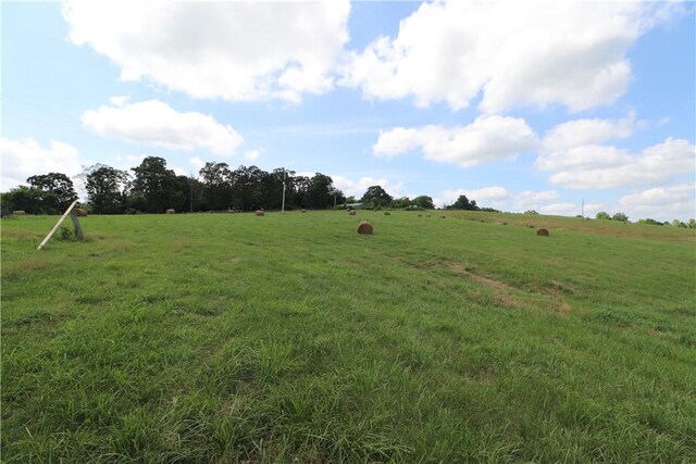 13228 Cincinnati Creek Rd, Summers, AR 72769 - photo 31