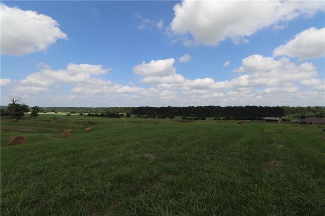 13228 Cincinnati Creek Rd, Summers, AR 72769 - photo 32