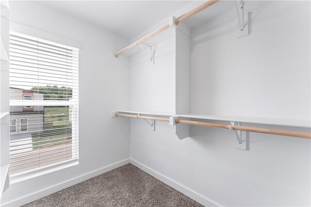 841 States Ave, Bentonville, AR 72713 - walk in closet with carpet floors