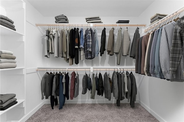 841 States Ave, Bentonville, AR 72713 - spacious closet with carpet floors