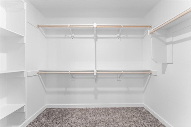841 States Ave, Bentonville, AR 72713 - walk in closet featuring carpet floors