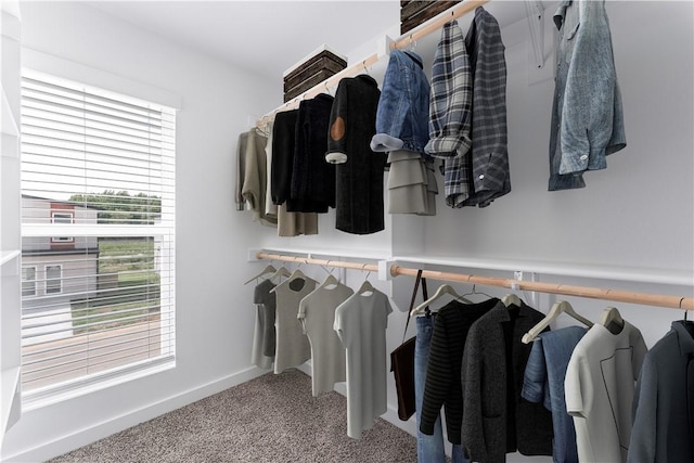 841 States Ave, Bentonville, AR 72713 - spacious closet with carpet