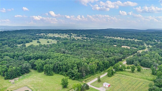 21830 N State Highway 307, Belleville, AR 72824