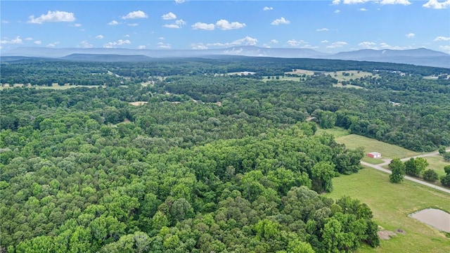 21830 N State Highway 307, Belleville, AR 72824