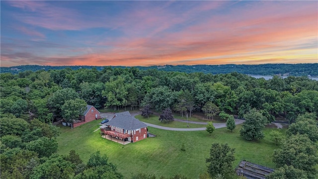 9000 Ventris Rd, Garfield, AR 72732 - photo 54