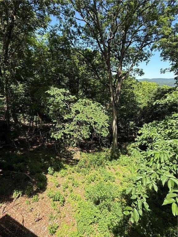 7 Bobwhite Ln, Holiday Island, AR 72631 - view of tree filled area