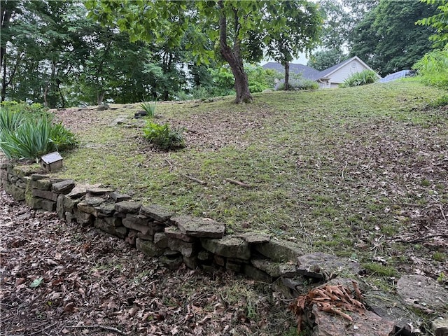 7 Bobwhite Ln, Holiday Island, AR 72631 - view of yard