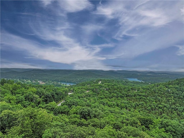 7 Bobwhite Ln, Holiday Island, AR 72631 - view of mountain background with a heavily wooded area and a large body of water