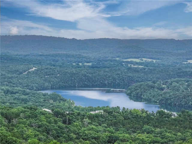 7 Bobwhite Ln, Holiday Island, AR 72631 - water view featuring a forest