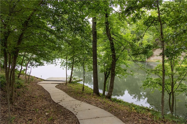 18 Cheviot Ln, Bella Vista, AR 72715 - view of home's community with a water view