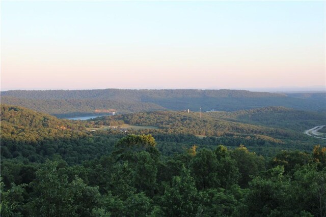 11901 Canova Trl, Mountainburg, AR 72946 - photo 4