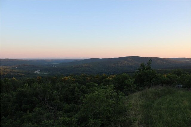 11901 Canova Trl, Mountainburg, AR 72946 - photo 5