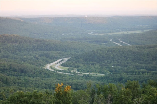 11901 Canova Trl, Mountainburg, AR 72946 - photo 7