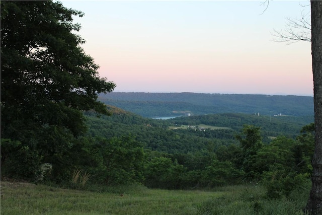 11901 Canova Trl, Mountainburg, AR 72946 - photo 8