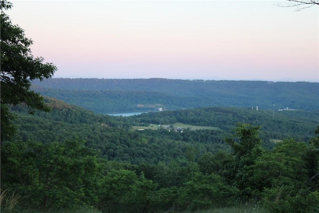 11901 Canova Trl, Mountainburg, AR 72946 - photo 9
