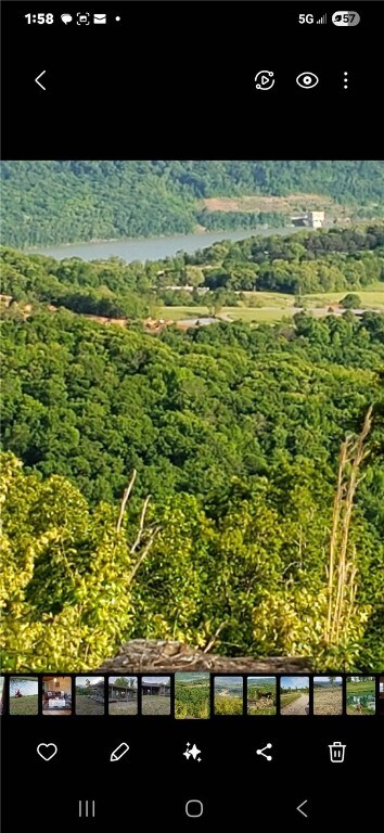 11901 Canova Trl, Mountainburg, AR 72946 - photo 17