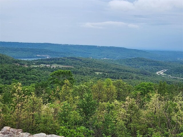 11901 Canova Trl, Mountainburg, AR 72946 - photo 27