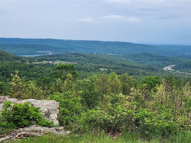 11901 Canova Trl, Mountainburg, AR 72946 - photo 30
