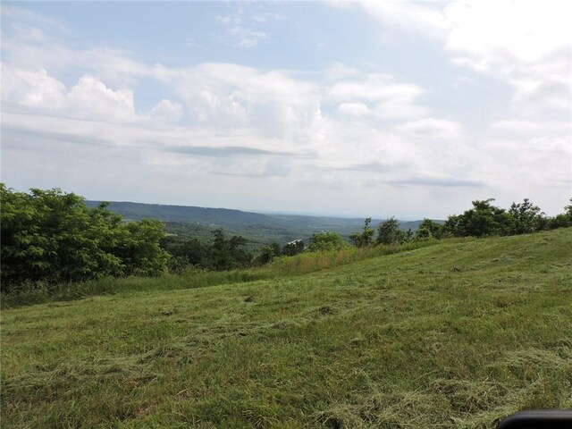 11901 Canova Trl, Mountainburg, AR 72946 - photo 35