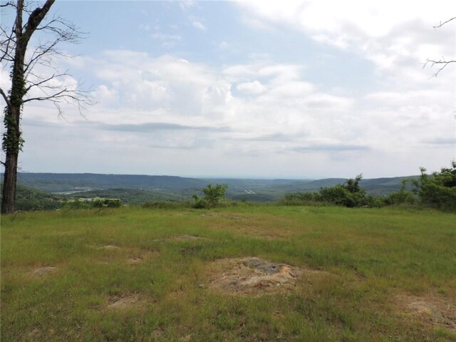 11901 Canova Trl, Mountainburg, AR 72946 - photo 36