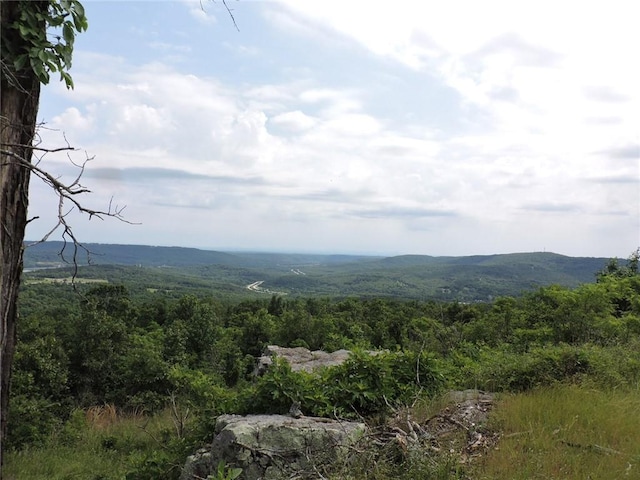 11901 Canova Trl, Mountainburg, AR 72946 - photo 38