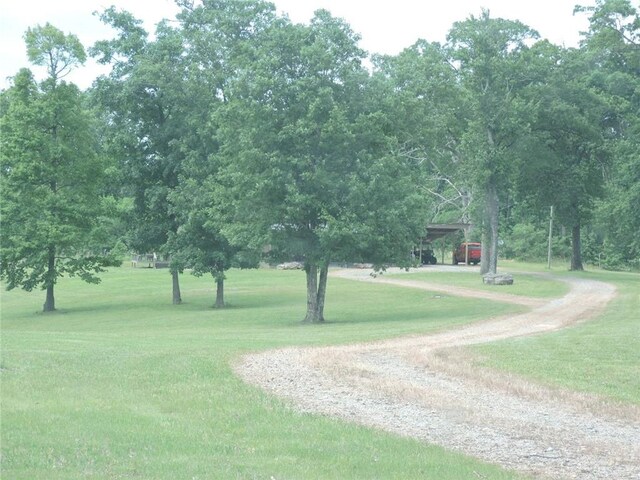 11901 Canova Trl, Mountainburg, AR 72946 - photo 45