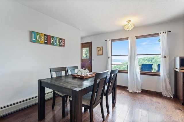 326 Hillcrest Rd, Eureka Springs, AR 72631 - dining area featuring dark wood-style floors, a baseboard radiator, and baseboards