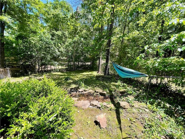 900 Dogwood St, Huntsville, AR 72740 - view of yard
